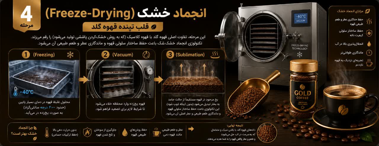 مرحله چهارم: انجماد خشک (Freeze-Drying)؛ قلب تپنده قهوه گلد